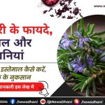 रोजमेरी के पत्ते और तेल – रोजमेरी के फायदे