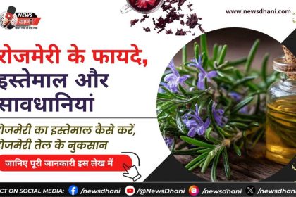 रोजमेरी के पत्ते और तेल – रोजमेरी के फायदे