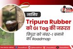 Tripura Rubber Industry Northeast India
