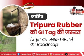 Tripura Rubber Industry Northeast India