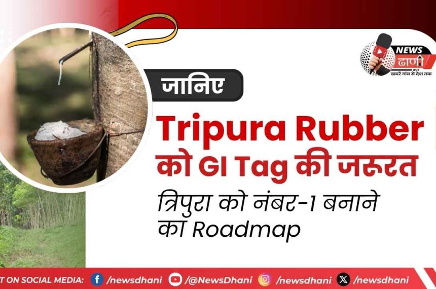 Tripura Rubber Industry Northeast India