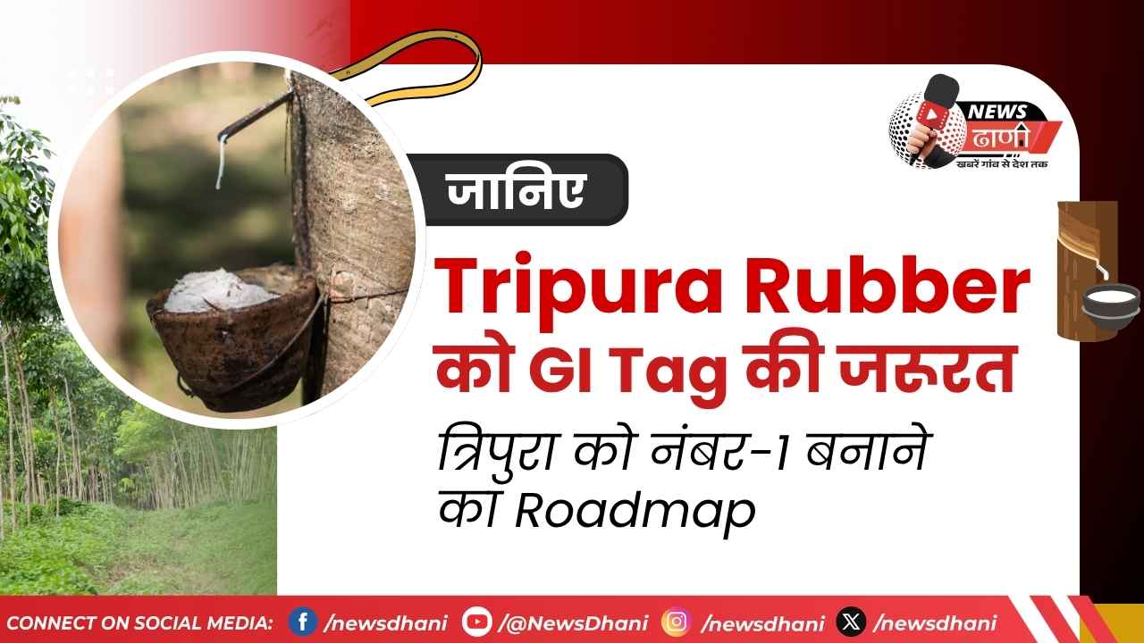 Tripura Rubber Industry Northeast India