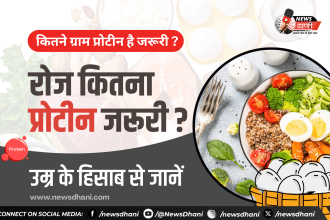 Protein Per Day — दाल, दूध, पनीर, अंडा और चना जैसे प्रोटीन से भरपूर खाने