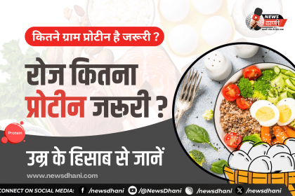Protein Per Day — दाल, दूध, पनीर, अंडा और चना जैसे प्रोटीन से भरपूर खाने