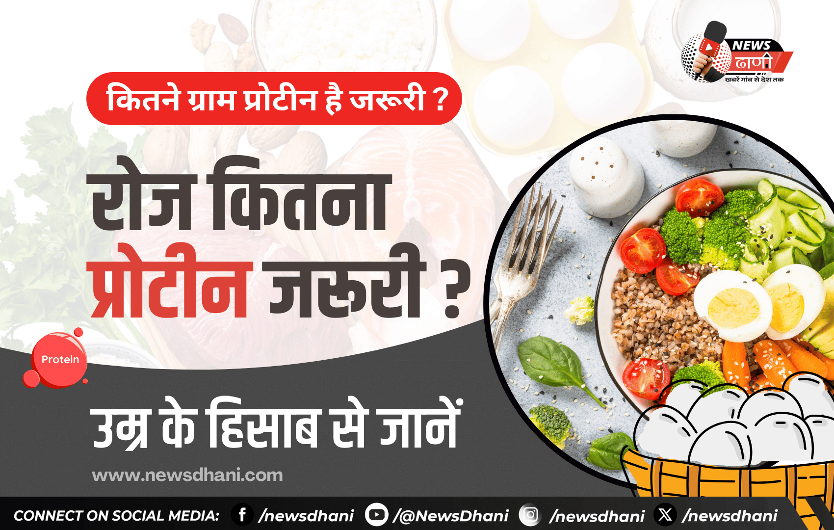 Protein Per Day — दाल, दूध, पनीर, अंडा और चना जैसे प्रोटीन से भरपूर खाने